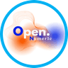 Open Numeric